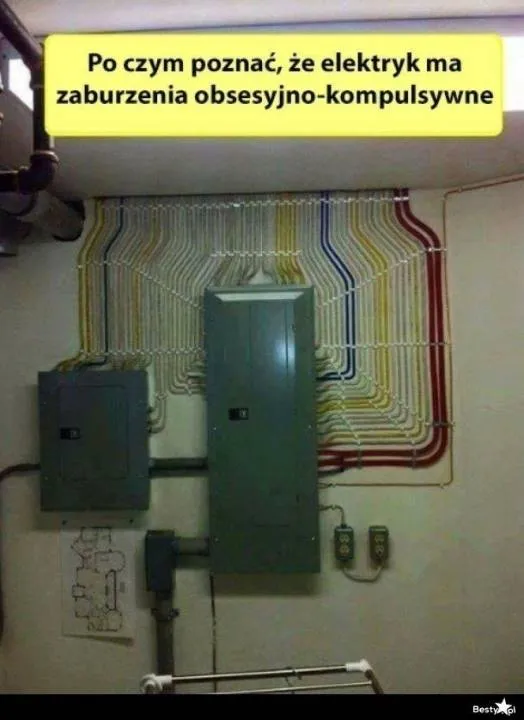Zdjęcie 15
