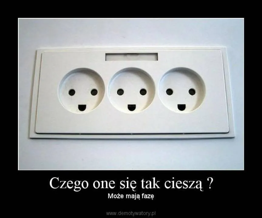 Zdjęcie 8