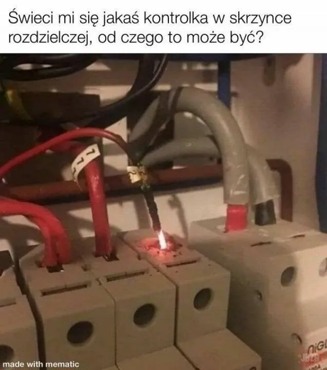 Zdjęcie 3