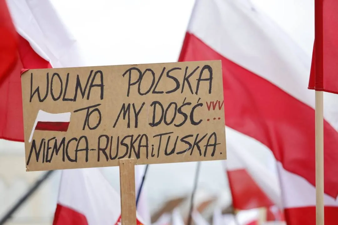 Zdjęcie 15