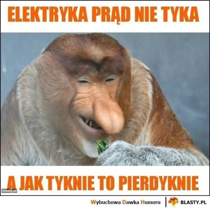 Zdjęcie 29