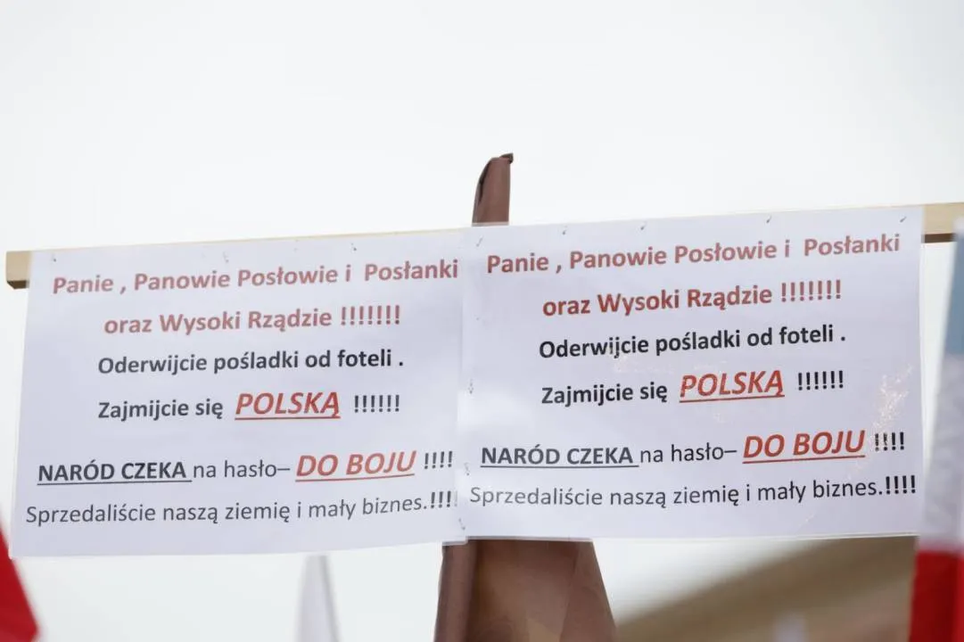 Zdjęcie 17