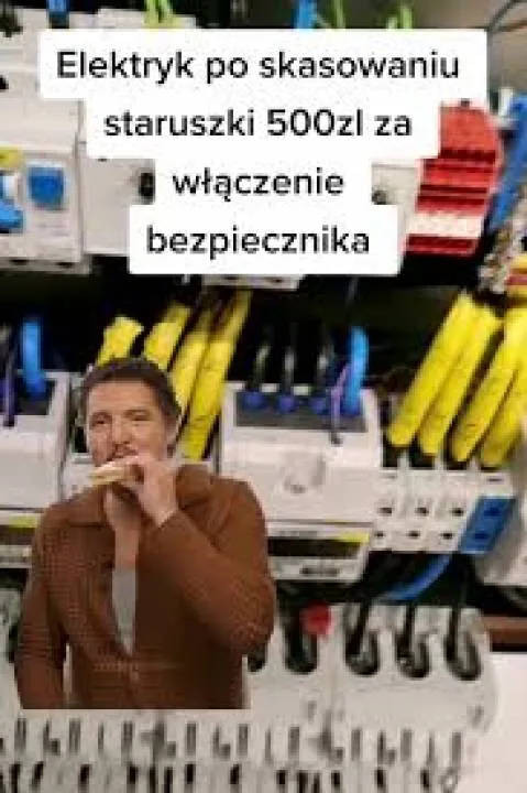 Zdjęcie 24
