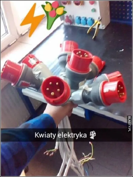 Zdjęcie 26