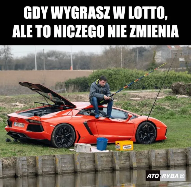 Zdjęcie 19