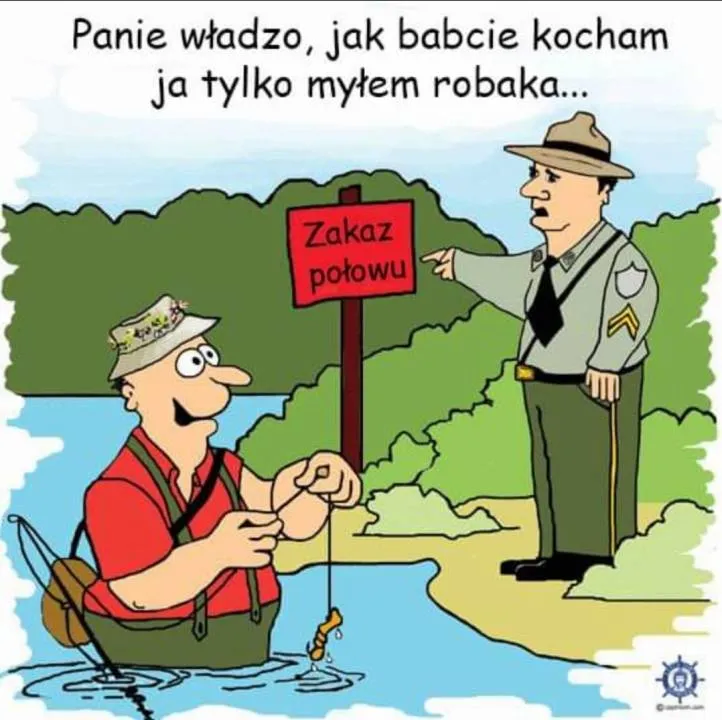 Zdjęcie 29
