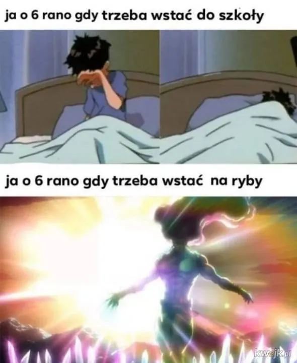 Zdjęcie 20
