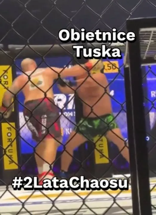 Zdjęcie 1