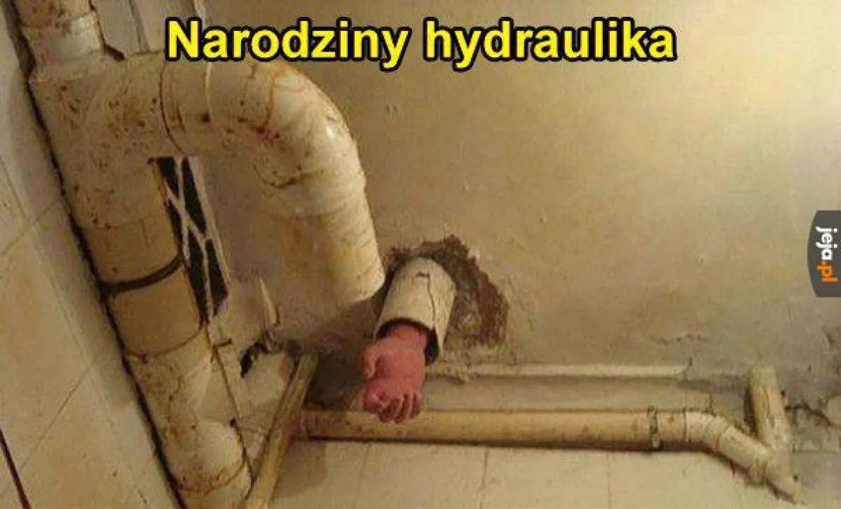 Zdjęcie 13