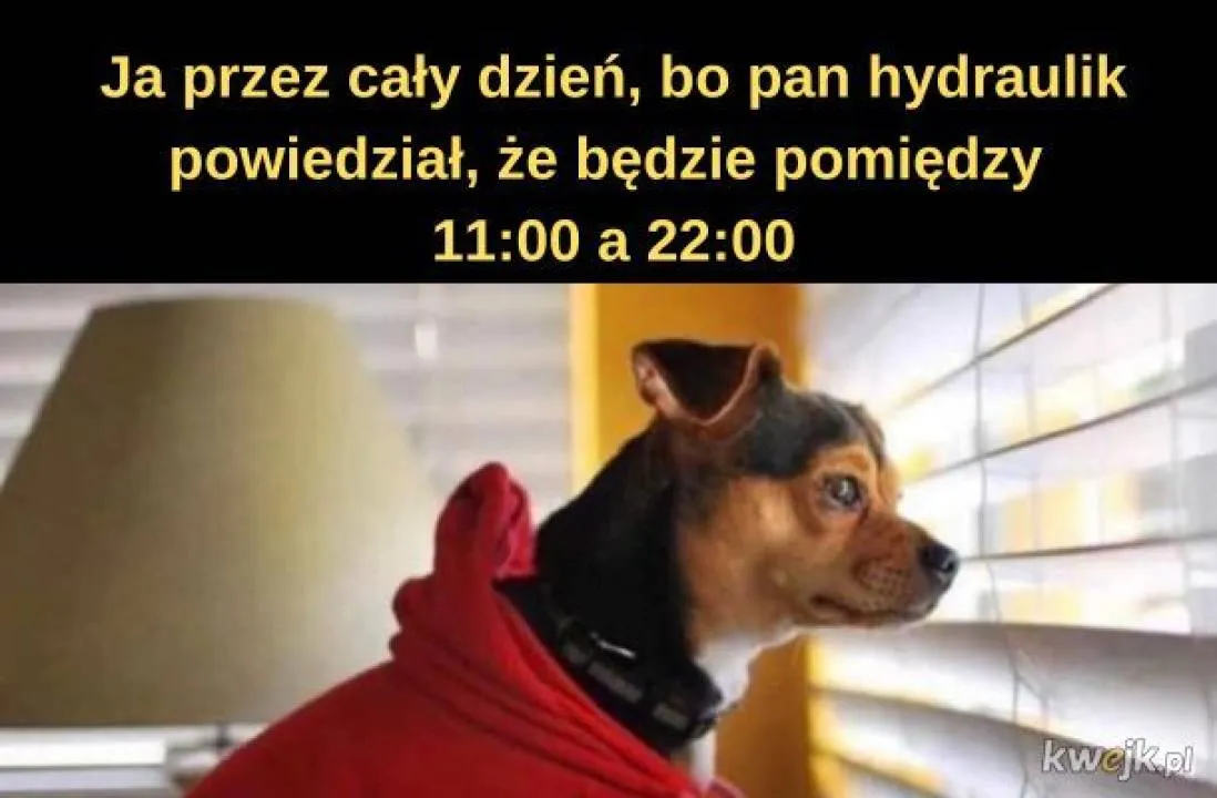 Zdjęcie 8