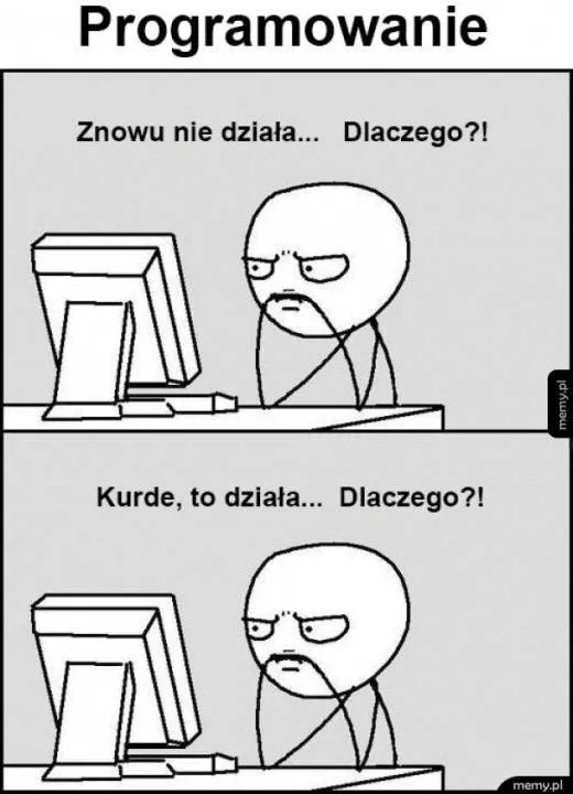 Zdjęcie 10