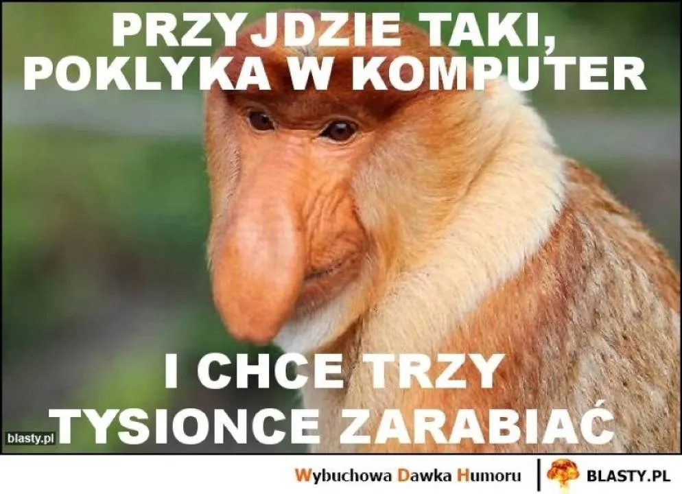 Zdjęcie 22