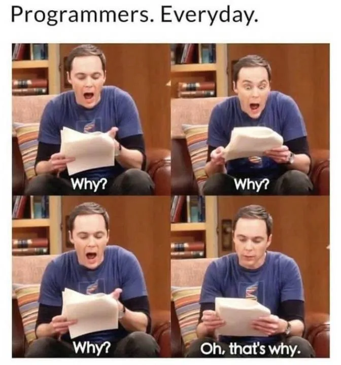 Zdjęcie 24