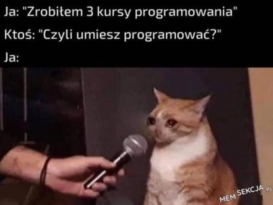 Zdjęcie 11