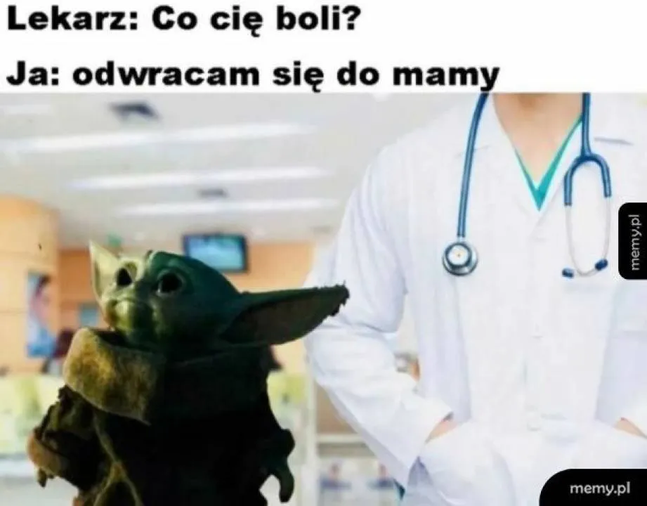 Zdjęcie 6