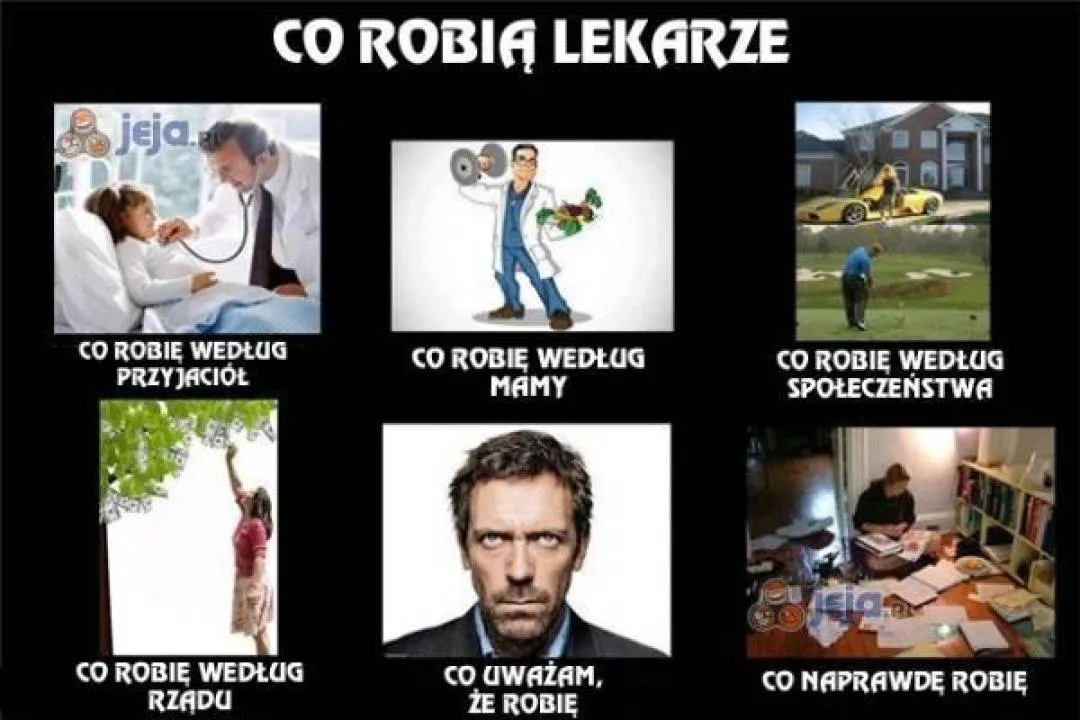 Zdjęcie 7