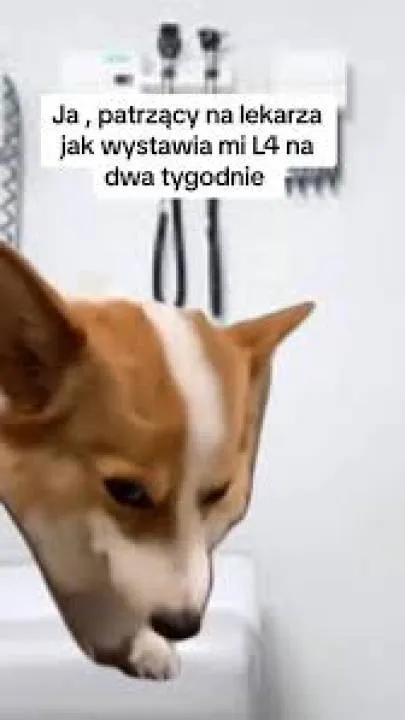 Zdjęcie 37