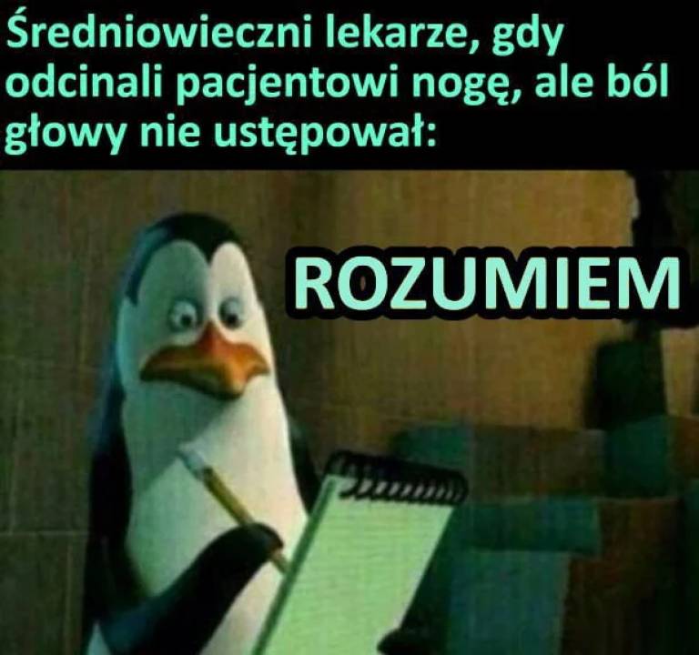 Zdjęcie 34