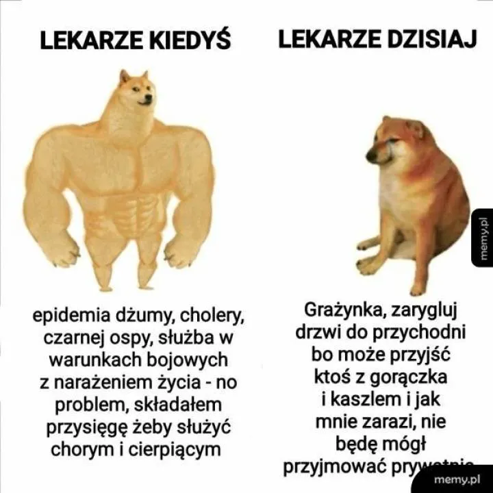 Zdjęcie 9