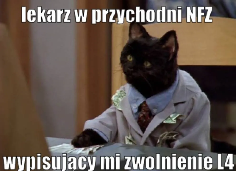 Zdjęcie 8