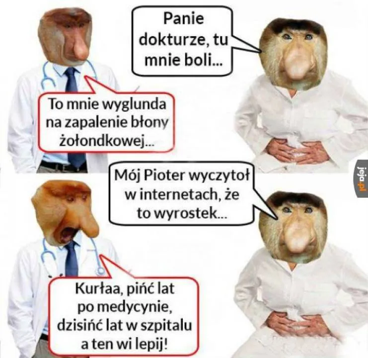 Zdjęcie 23
