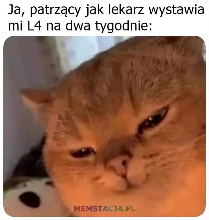 Zdjęcie 18