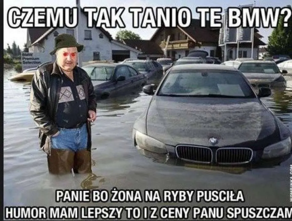 Zdjęcie 8