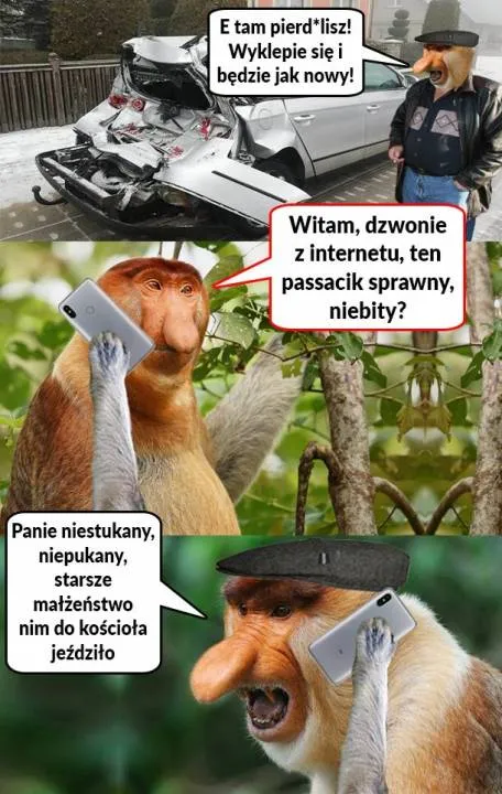 Zdjęcie 23