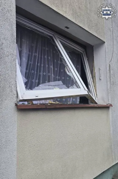Zdjęcie 5