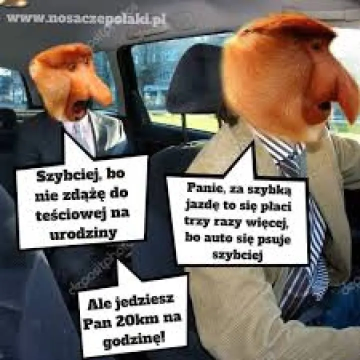 Zdjęcie 7