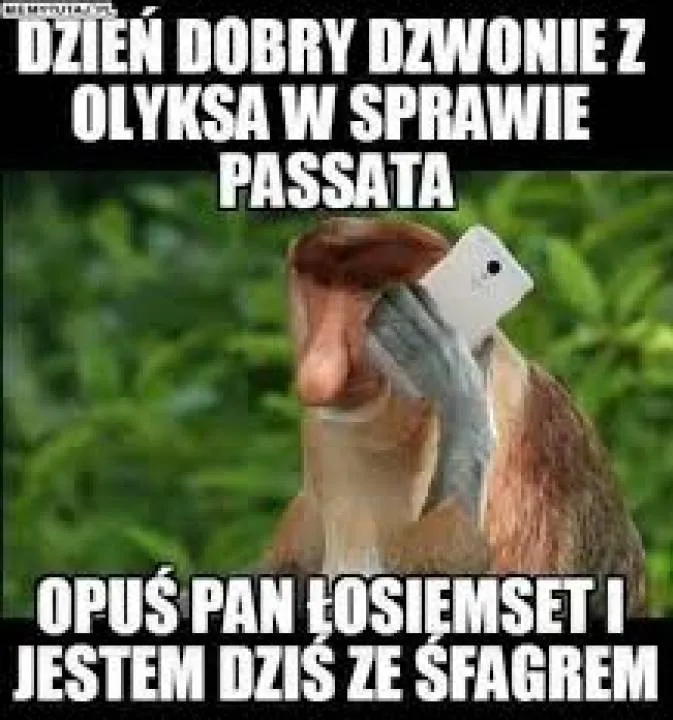 Zdjęcie 34