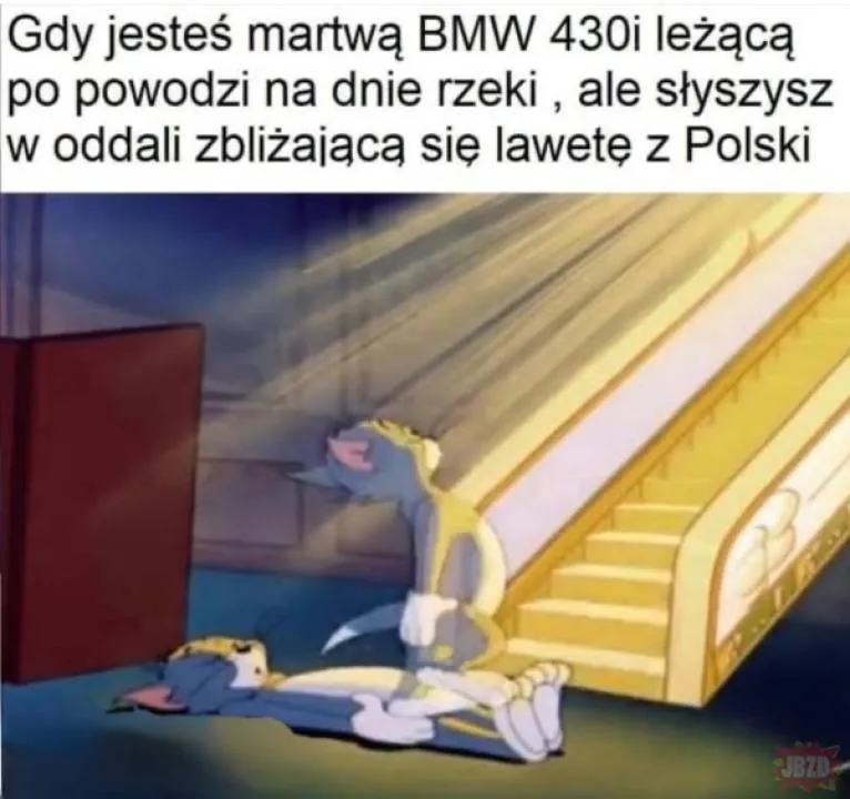 Zdjęcie 2