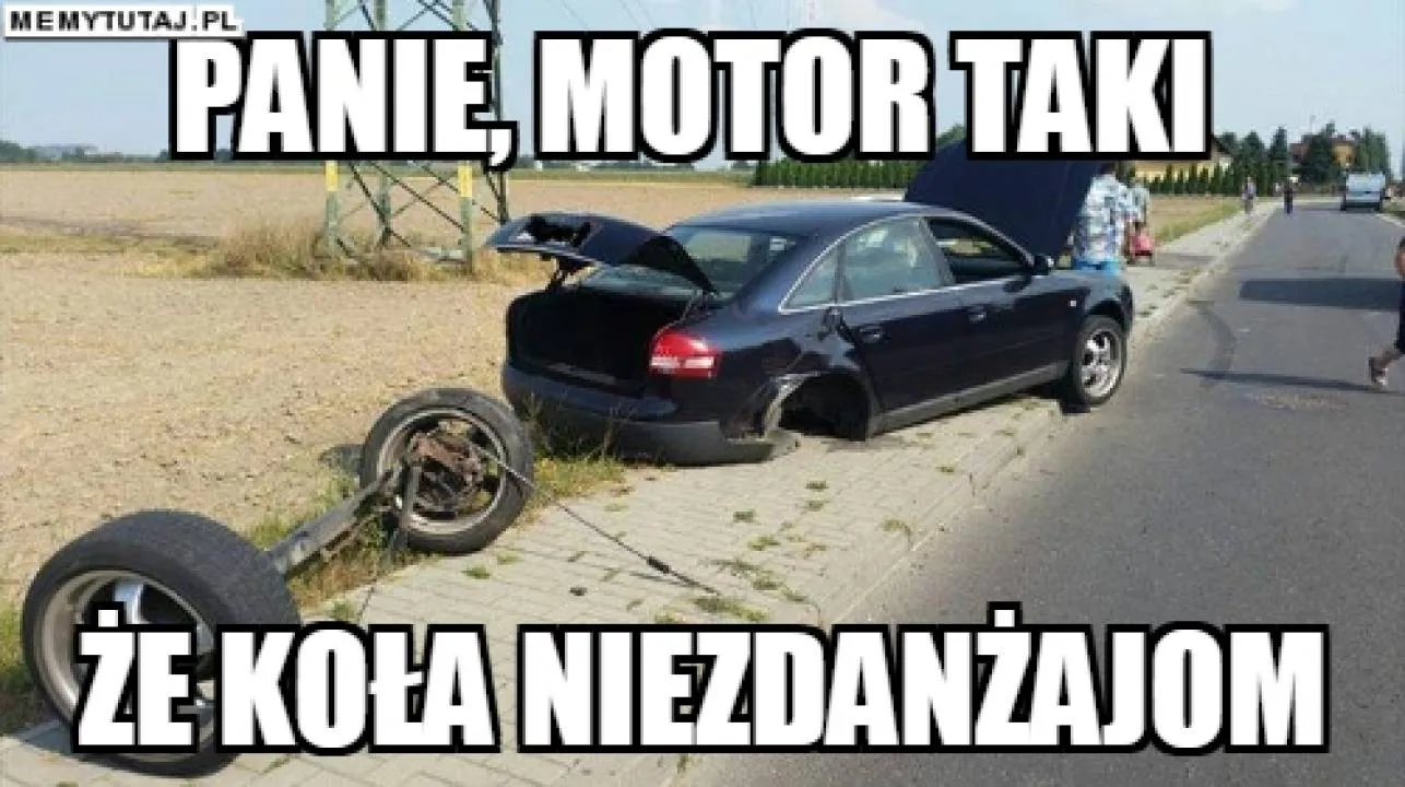 Zdjęcie 18