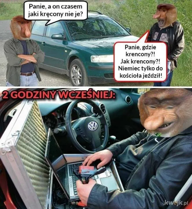 Zdjęcie 21