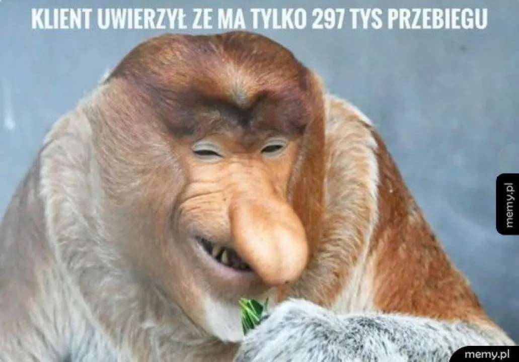 Zdjęcie 26