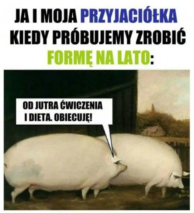 Zdjęcie 33