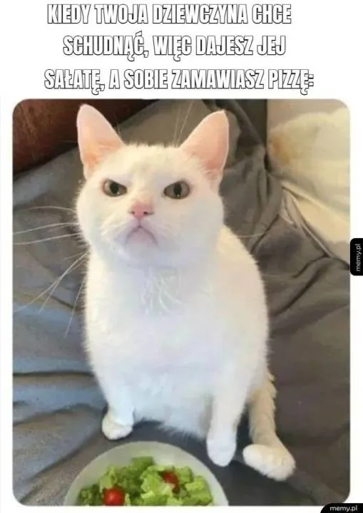 Zdjęcie 21