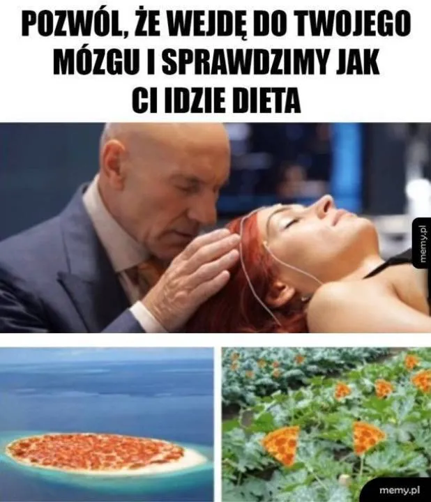 Zdjęcie 10