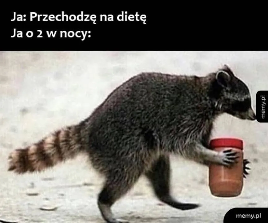 Zdjęcie 39