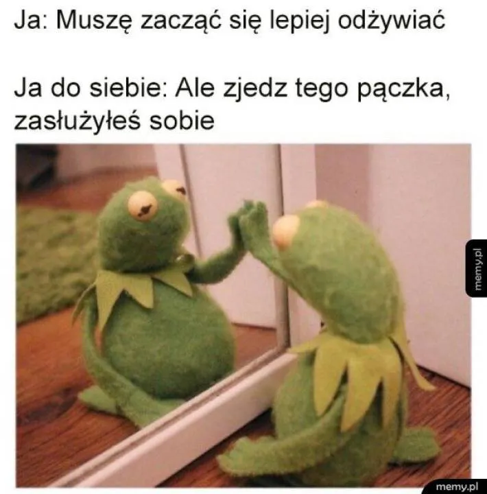 Zdjęcie 35