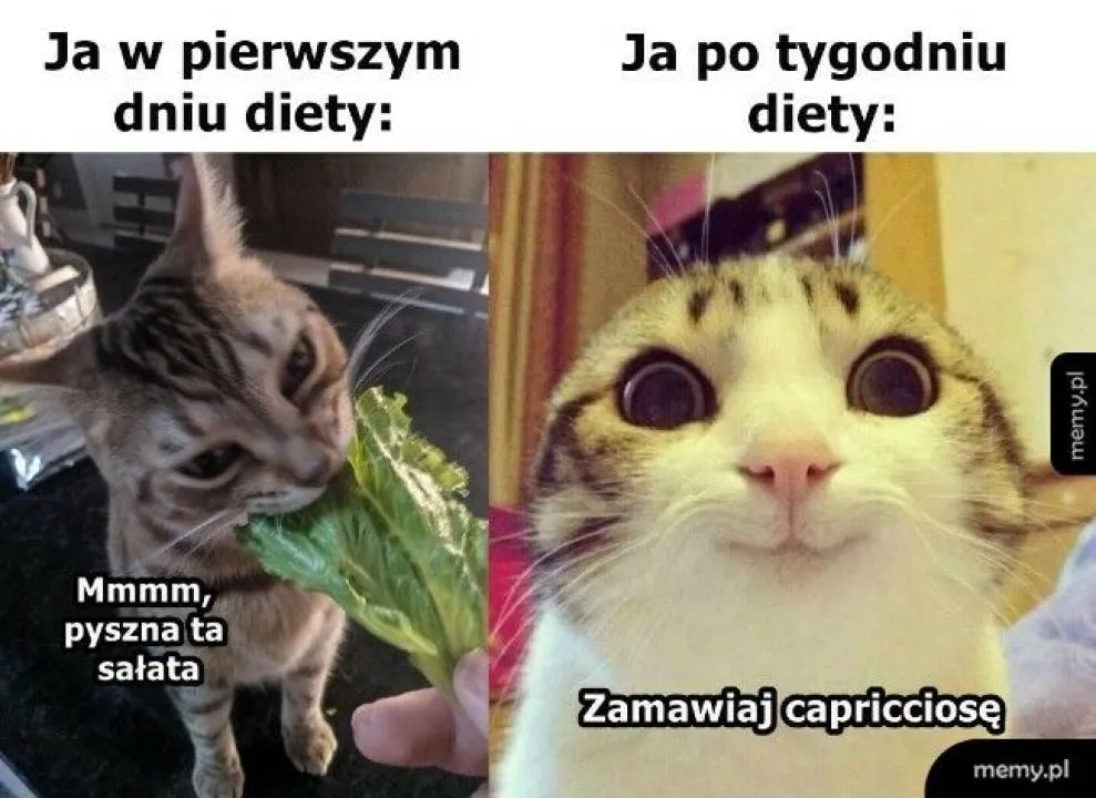 Zdjęcie 13