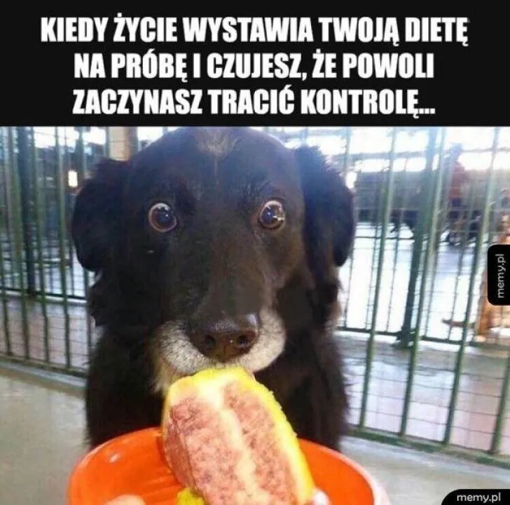 Zdjęcie 37