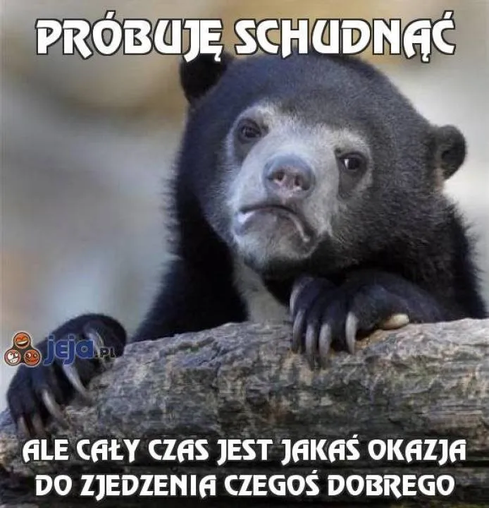 Zdjęcie 41