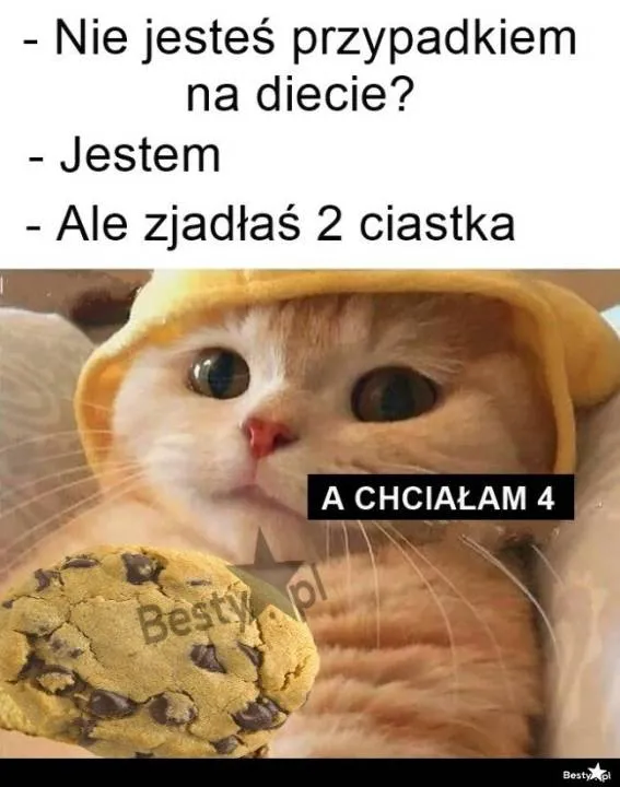 Zdjęcie 19