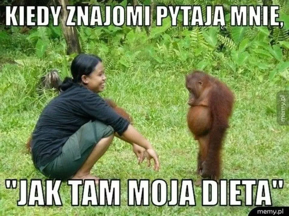 Zdjęcie 2