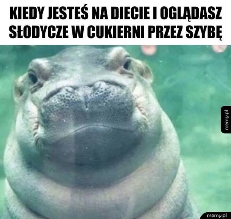 Zdjęcie 31