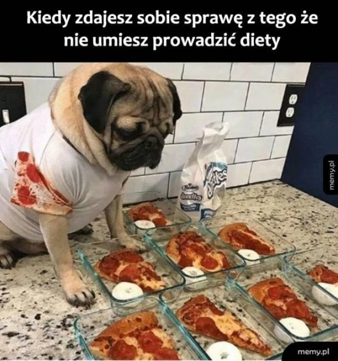 Zdjęcie 27