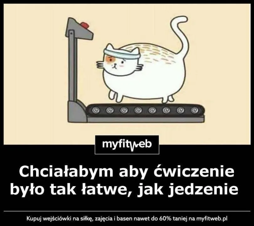Zdjęcie 20