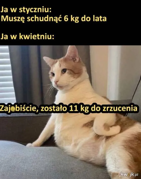 Zdjęcie 9