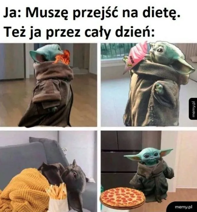 Zdjęcie 8